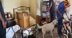 ದಾವಣಗೆರೆ ಡಿಸಿ ನಿವಾಸ ಸ್ಫೋಟಿಸೋದಾಗಿ 112ಕ್ಕೆ ಬೆದರಿಕೆ ಕರೆ