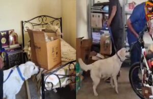 ದಾವಣಗೆರೆ ಡಿಸಿ ನಿವಾಸ ಸ್ಫೋಟಿಸೋದಾಗಿ 112ಕ್ಕೆ ಬೆದರಿಕೆ ಕರೆ