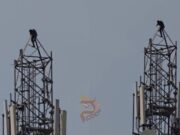 ಒಂದು ಬಾಟಲ್ ಕೊಟ್ಟರೆ ಕೆಳಗೆ ಬರ್ತಿನಿ – ಟವರ್ ಹತ್ತಿ ಕುಡುಕನ ಹುಚ್ಚಾಟ..!