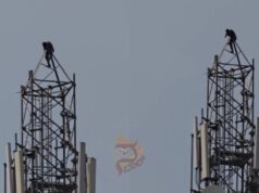 ಒಂದು ಬಾಟಲ್ ಕೊಟ್ಟರೆ ಕೆಳಗೆ ಬರ್ತಿನಿ – ಟವರ್ ಹತ್ತಿ ಕುಡುಕನ ಹುಚ್ಚಾಟ..!