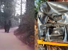 ಮನೆ ಬಳಿ ನಿಲ್ಲಿಸಿದ್ದ ಆಟೋ ಜಖಂಗೊಳಿಸಿದ ಪುಂಡಾನೆ