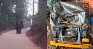 ಮನೆ ಬಳಿ ನಿಲ್ಲಿಸಿದ್ದ ಆಟೋ ಜಖಂಗೊಳಿಸಿದ ಪುಂಡಾನೆ