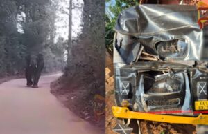 ಮನೆ ಬಳಿ ನಿಲ್ಲಿಸಿದ್ದ ಆಟೋ ಜಖಂಗೊಳಿಸಿದ ಪುಂಡಾನೆ