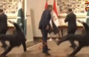 ವಿದೇಶಿ ಅತಿಥಿಗಳ ಮುಂದೆ ಎಡವಿ ಬಿದ್ದ ಪಾಕಿಸ್ತಾನ ಉಪ ಪ್ರಧಾನಿ ಇಶಾಕ್ ದಾರ್