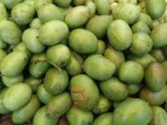 ಮಾವಿನಕಾಯಿ ಸೇವನೆಯಿಂದ ಲಭಿಸುವ ಪ್ರಯೋಜನಗಳು