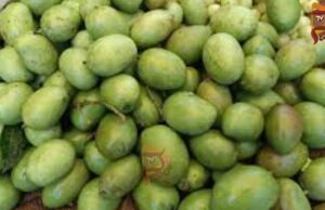 ಮಾವಿನಕಾಯಿ ಸೇವನೆಯಿಂದ ಲಭಿಸುವ ಪ್ರಯೋಜನಗಳು