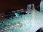 ಬ್ರಹ್ಮಾವರ ತಾಲೂಕಿನಲ್ಲಿ ಹೆಚ್ಚಿದ ಚಿರತೆಗಳ ಕಾಟ…!