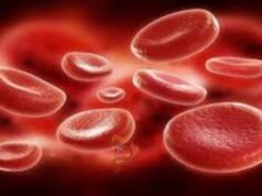 ದೇಹದಲ್ಲಿ ಪ್ಲೇಟ್ಲೆಟ್ಗಳು ಕಡಿಮೆಯಾಗುವುದಕ್ಕೆ ಈ ರೋಗಗಳೇ ಕಾರಣ..!