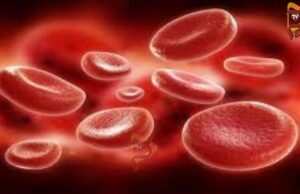 ದೇಹದಲ್ಲಿ ಪ್ಲೇಟ್ಲೆಟ್ಗಳು ಕಡಿಮೆಯಾಗುವುದಕ್ಕೆ ಈ ರೋಗಗಳೇ ಕಾರಣ..!