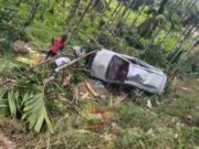 ನಿಯಂತ್ರಣ ತಪ್ಪಿ ಅಡಿಕೆ ತೋಟಕ್ಕೆ, ಬಿದ್ದ ಕಾರು – ಚಾಲಕನಿಗೆ ಗಂಭೀರ ಗಾಯ