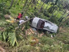 ನಿಯಂತ್ರಣ ತಪ್ಪಿ ಅಡಿಕೆ ತೋಟಕ್ಕೆ, ಬಿದ್ದ ಕಾರು – ಚಾಲಕನಿಗೆ ಗಂಭೀರ ಗಾಯ