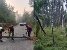 ಕಾಫಿನಾಡು, ಮಲೆನಾಡಲ್ಲಿ ತಡರಾತ್ರಿ ಭಾರೀ ಮಳೆ – ಧರೆಗುರುಳಿದ ಮರಗಳು