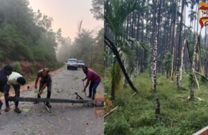 ಕಾಫಿನಾಡು, ಮಲೆನಾಡಲ್ಲಿ ತಡರಾತ್ರಿ ಭಾರೀ ಮಳೆ – ಧರೆಗುರುಳಿದ ಮರಗಳು