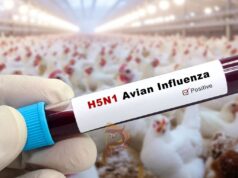 ಚಿಕನ್ ಪ್ರಿಯರೇ ಎಚ್ಚರ – ರಾಜ್ಯಕ್ಕೆ ಕಾಲಿಟ್ಟಿದೆ ಹಕ್ಕಿ ಜ್ವರ..!