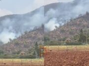 ಬಿಳಿಗಿರಿರಂಗನ ಬೆಟ್ಟದಲ್ಲಿ ಮತ್ತೆ ಬೆಂಕಿ – ಅಪಾರ ಪ್ರಮಾಣದ ಕಾಡು ಭಸ್ಮ..!