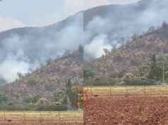 ಬಿಳಿಗಿರಿರಂಗನ ಬೆಟ್ಟದಲ್ಲಿ ಮತ್ತೆ ಬೆಂಕಿ – ಅಪಾರ ಪ್ರಮಾಣದ ಕಾಡು ಭಸ್ಮ..!