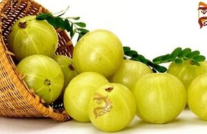 ದಿನಕ್ಕೊಂದು ನೆಲ್ಲಿಕಾಯಿ ಸೇವಿಸಿ; ಅನಾರೋಗ್ಯಕ್ಕೆ ಹೇಳಿ ಬಾಯ್..!