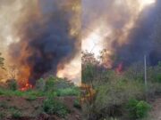 ಹುಲಿ ಸಂರಕ್ಷಿತಾರಣ್ಯಕ್ಕೆ ಮತ್ತೆ ಬೆಂಕಿ – 25ಕ್ಕೂ ಹೆಚ್ಚು ಎಕರೆ ಅಗ್ನಿಗಾಹುತಿ..!