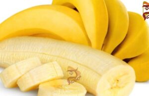 ನಿತ್ಯವೂ ಒಂದು ಬಾಳೆಹಣ್ಣು ತಿನ್ನುವುದರಿಂದ ಲಭಿಸುವ ಪ್ರಯೋಜನ..!