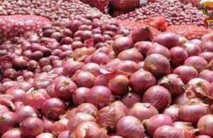 ಯುದ್ಧದ ಎಫೆಕ್ಟ್ – ಪಾತಾಳಕ್ಕೆ ಕುಸಿದ ಈರುಳ್ಳಿ ಬೆಲೆ..!