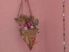 ಮನೆ ಹಾಲ್ ಹ್ಯಾಂಗಿಂಗ್ನಲ್ಲಿ ರಾಜನಂತೆ ಕುಳಿತಿದ್ದ ನಾಗರಾಜ