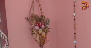 ಮನೆ ಹಾಲ್ ಹ್ಯಾಂಗಿಂಗ್ನಲ್ಲಿ ರಾಜನಂತೆ ಕುಳಿತಿದ್ದ ನಾಗರಾಜ