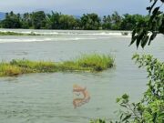 ಮೈಸೂರು, ಮಂಡ್ಯ, ಬೆಂಗಳೂರಿಗೆ ಹೆಚ್ಚುವರಿ ಕಾವೇರಿ ನೀರಿಗಾಗಿ ಸುಪ್ರೀಂ ಕೋರ್ಟ್ನಲ್ಲಿ ರಿಟ್ ಅರ್ಜಿ ಸಲ್ಲಿಕೆಗೆ ಸಿದ್ಧತೆ..!