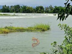 ಮೈಸೂರು, ಮಂಡ್ಯ, ಬೆಂಗಳೂರಿಗೆ ಹೆಚ್ಚುವರಿ ಕಾವೇರಿ ನೀರಿಗಾಗಿ ಸುಪ್ರೀಂ ಕೋರ್ಟ್ನಲ್ಲಿ ರಿಟ್ ಅರ್ಜಿ ಸಲ್ಲಿಕೆಗೆ ಸಿದ್ಧತೆ..!