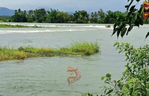 ಮೈಸೂರು, ಮಂಡ್ಯ, ಬೆಂಗಳೂರಿಗೆ ಹೆಚ್ಚುವರಿ ಕಾವೇರಿ ನೀರಿಗಾಗಿ ಸುಪ್ರೀಂ ಕೋರ್ಟ್ನಲ್ಲಿ ರಿಟ್ ಅರ್ಜಿ ಸಲ್ಲಿಕೆಗೆ ಸಿದ್ಧತೆ..!