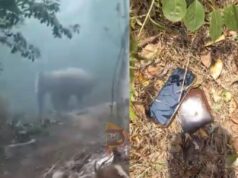 ಇಟಿಎಫ್ ಸಿಬ್ಬಂದಿ ಮೇಲೆ ಕಾಡಾನೆ ದಾಳಿ – ಗಾರ್ಡ್ ಸ್ಥಿತಿ ಗಂಭೀರ..!