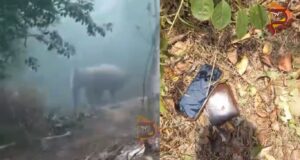 ಇಟಿಎಫ್ ಸಿಬ್ಬಂದಿ ಮೇಲೆ ಕಾಡಾನೆ ದಾಳಿ – ಗಾರ್ಡ್ ಸ್ಥಿತಿ ಗಂಭೀರ..!