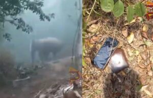 ಇಟಿಎಫ್ ಸಿಬ್ಬಂದಿ ಮೇಲೆ ಕಾಡಾನೆ ದಾಳಿ – ಗಾರ್ಡ್ ಸ್ಥಿತಿ ಗಂಭೀರ..!