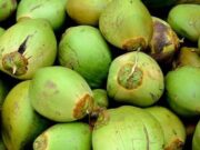 ಬೇಸಿಗೆ ಬೇಗೆ ಬೆನ್ನಲ್ಲೇ ಎಳನೀರಿಗೆ ಭಾರಿ ಬೇಡಿಕೆ, ದರವೂ ಏರಿಕೆ..!