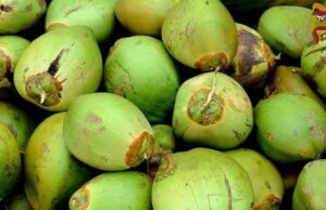 ಬೇಸಿಗೆ ಬೇಗೆ ಬೆನ್ನಲ್ಲೇ ಎಳನೀರಿಗೆ ಭಾರಿ ಬೇಡಿಕೆ, ದರವೂ ಏರಿಕೆ..!