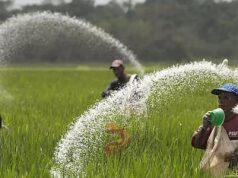 ಇನ್ಮುಂದೆ ರಸಗೊಬ್ಬರ ಬೇಕಿದರೆ, FID ಕಡ್ಡಾಯ..!