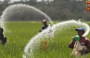 ಇನ್ಮುಂದೆ ರಸಗೊಬ್ಬರ ಬೇಕಿದರೆ, FID ಕಡ್ಡಾಯ..!