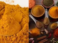 ಅರಿಶಿಣಪುಡಿ, ಮಸಾಲೆ ಪುಡಿಗಳಲ್ಲಿ ಸೀಸದ ಅಂಶ ಪತ್ತೆ – ಸರ್ಕಾರದಿಂದಲೇ ಅಧಿಕೃತ ಟೆಸ್ಟ್ಗೆ ಆದೇಶ..!