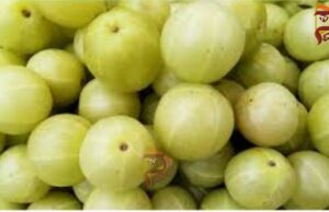 ದಿನಕ್ಕೊಂದು ನೆಲ್ಲಿಕಾಯಿ ಸೇವಿಸಿ; ಅನಾರೋಗ್ಯಕ್ಕೆ ಹೇಳಿ bye.. bye