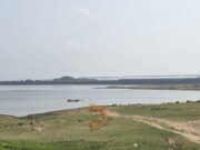 ಬೇಸಿಗೆ ಆರಂಭದಲ್ಲೇ, 99 ಅಡಿಗೆ ಕುಸಿದ ಕೆಆರ್ಎಸ್ ಡ್ಯಾಂ