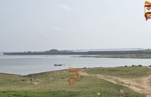 ಬೇಸಿಗೆ ಆರಂಭದಲ್ಲೇ, 99 ಅಡಿಗೆ ಕುಸಿದ ಕೆಆರ್ಎಸ್ ಡ್ಯಾಂ