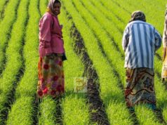 ರೈತರಿಗೆ ಎಚ್ಚರಿಕೆ, 3 ದಿನದೊಳಗೆ ಈ ಕೆಲಸ ಮಾಡದಿದ್ದಲ್ಲಿ ಕೈತಪ್ಪಲಿದೆ ಬೆಳೆಹಾನಿ ಪರಿಹಾರ!