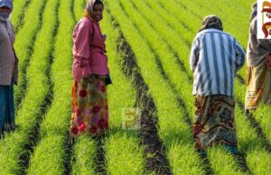 ರೈತರಿಗೆ ಎಚ್ಚರಿಕೆ, 3 ದಿನದೊಳಗೆ ಈ ಕೆಲಸ ಮಾಡದಿದ್ದಲ್ಲಿ ಕೈತಪ್ಪಲಿದೆ ಬೆಳೆಹಾನಿ ಪರಿಹಾರ!