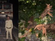 ಮಳೆ ಅವಾಂತರ; ಮೈಸೂರು-ಶಿವಮೊಗ್ಗ, ಶಿವಮೊಗ್ಗ-ತಾಳಗುಪ್ಪ ರೈಲು ಸಂಚಾರದಲ್ಲಿ ವ್ಯತ್ಯಯ..!