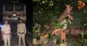 ಮಳೆ ಅವಾಂತರ; ಮೈಸೂರು-ಶಿವಮೊಗ್ಗ, ಶಿವಮೊಗ್ಗ-ತಾಳಗುಪ್ಪ ರೈಲು ಸಂಚಾರದಲ್ಲಿ ವ್ಯತ್ಯಯ..!