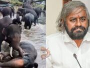 ದುಬಾರೆಯಲ್ಲಿ ಆನೆ ಕಾದಾಟದ ವೇಳೆ ಮಹಿಳೆ ಸಾವಿಗೆ ಖಂಡ್ರೆ ಸಂತಾಪ..!