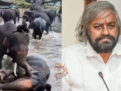 ದುಬಾರೆಯಲ್ಲಿ ಆನೆ ಕಾದಾಟದ ವೇಳೆ ಮಹಿಳೆ ಸಾವಿಗೆ ಖಂಡ್ರೆ ಸಂತಾಪ..!