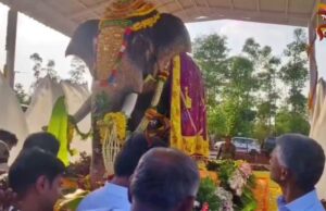ಅನಾವರಣಗೊಂಡ ಅರ್ಜುನ ಆನೆಯ ಪ್ರತಿಮೆ: ಹಾಸನ