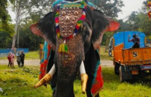ಮೈಸೂರು : ಕಂಜನ್ ಆನೆಯನ್ನು ದಸರಾಗೆ ಬಳಸದಂತೆ ಸೂಚನೆ