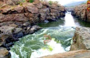 ಮೇಕೆದಾಟು: ಡಿಎಂಕೆ ನಾಯಕನಿಗೆ ತಮಿಳುನಾಡು ಕಾಂಗ್ರೆಸ್ ತಿರುಗೇಟು