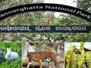 ಆನೇಕಲ್ನಲ್ಲಿ ಎರಡನೇ ಕ್ರಿಕೆಟ್ ಸ್ಟೇಡಿಯಂ ಯೋಜನೆಗೆ ರೈತರು-KRS ತೀವ್ರ ವಿರೋಧ